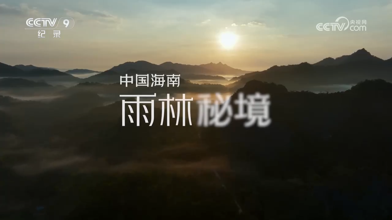 央視紀錄片《中國海南·雨林秘境》全集網(wǎng)盤下載